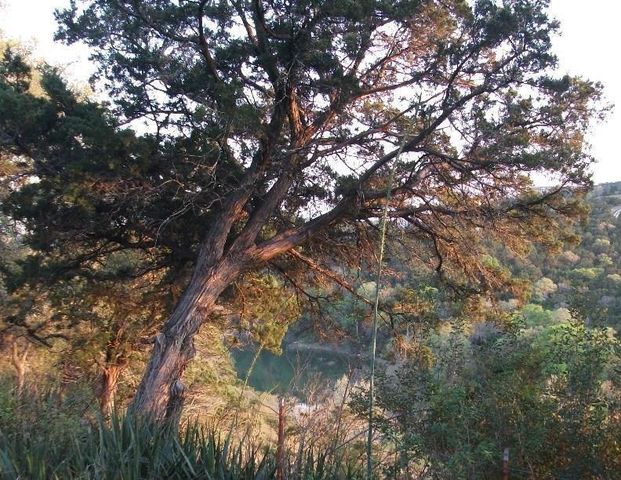 18201 Gregg Bluff RD, Jonestown, TX 78645