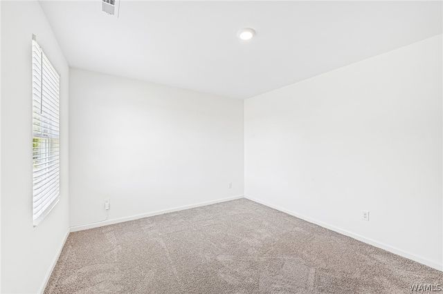 11309 Cedar Glades, Vance, AL 35490