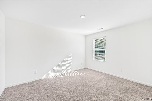 11309 Cedar Glades, Vance, AL 35490