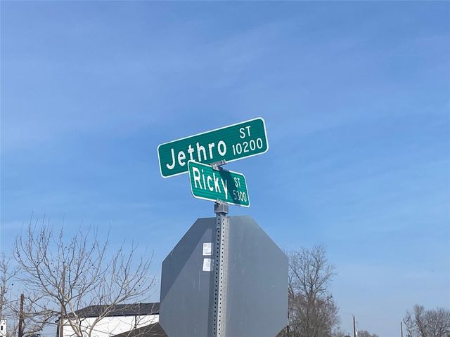 10130 Ricky Street, Houston, TX 77033