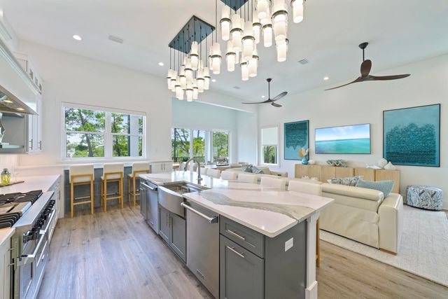 1621 S County Hwy 393, Santa Rosa Beach, FL 32459