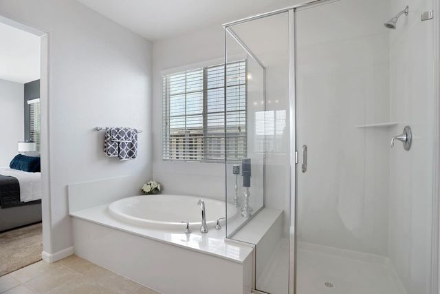 801 N Museo Dr, Mountain House, CA 95391