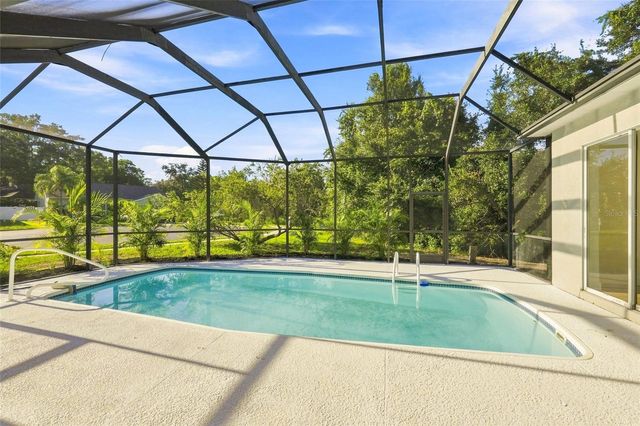 1447 CRAZY HORSE DRIVE, Lutz, FL 33559