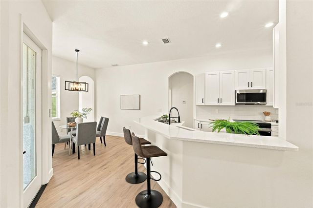 1447 CRAZY HORSE DRIVE, Lutz, FL 33559