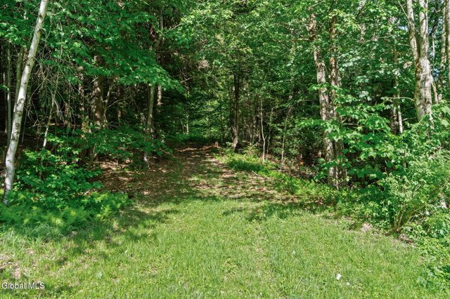 L9 Goat Farm Road, Bleecker, NY 12078