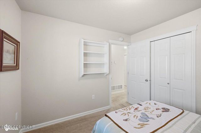 325 S Conestoga Loop, Palmer, AK 99645