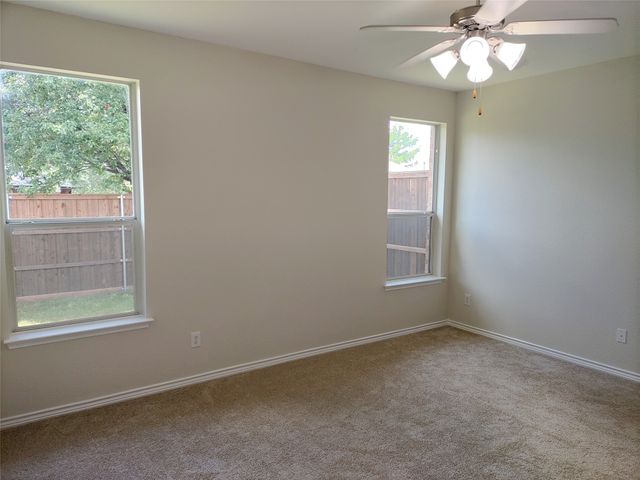 3908 Cedar Falls Drive, Fort Worth, TX 76244