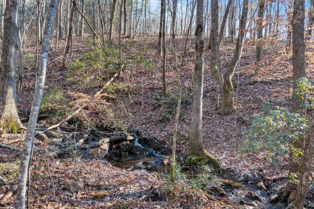 0 Cherokee Path Jf254, Jasper, TN 37347