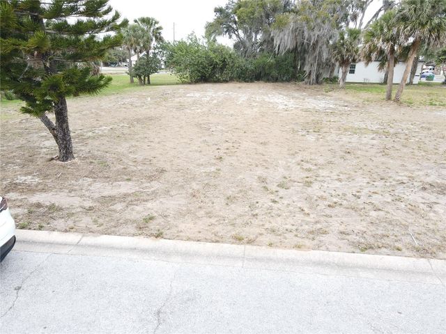 209 W BADGER AVENUE, Eustis, FL 32726