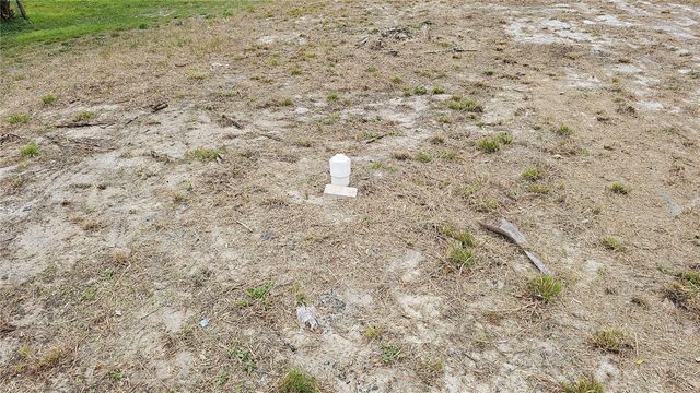 209 W BADGER AVENUE, Eustis, FL 32726