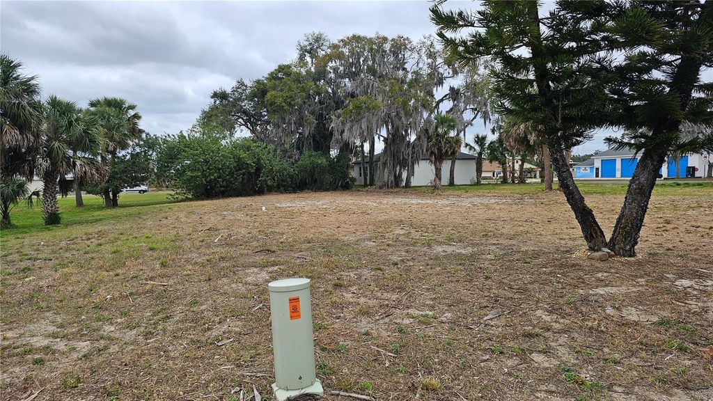 209 W BADGER AVENUE, Eustis, FL 32726