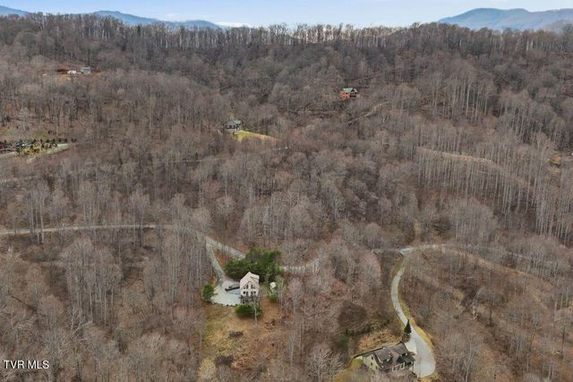 408 Eagle Ridge Road, Roan Mountain, TN 37687