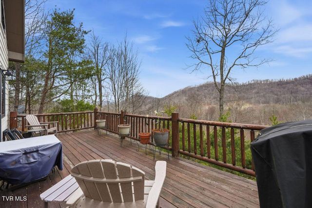 408 Eagle Ridge Road, Roan Mountain, TN 37687