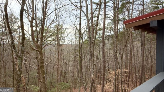 325 PETTIT RIDGE Road, Ellijay, GA 30536