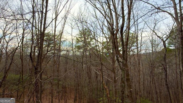 325 PETTIT RIDGE Road, Ellijay, GA 30536