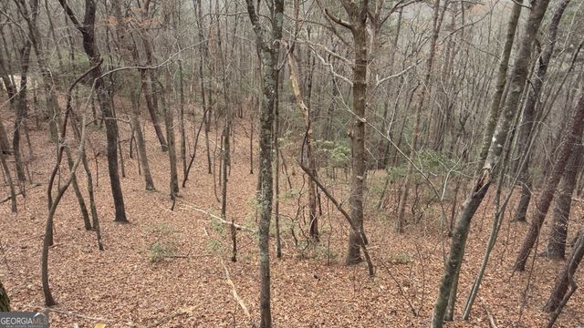 325 PETTIT RIDGE Road, Ellijay, GA 30536