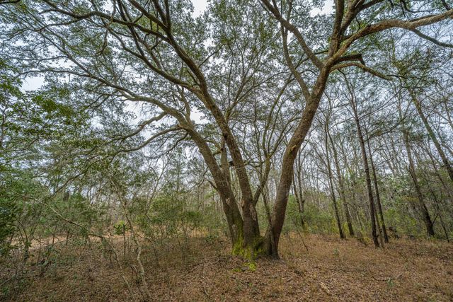 00 Elliott Estates Road, Hollywood, SC 29449