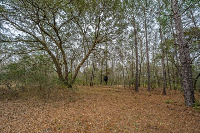 00 Elliott Estates Road, Hollywood, SC 29449