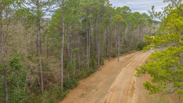 00 Elliott Estates Road, Hollywood, SC 29449