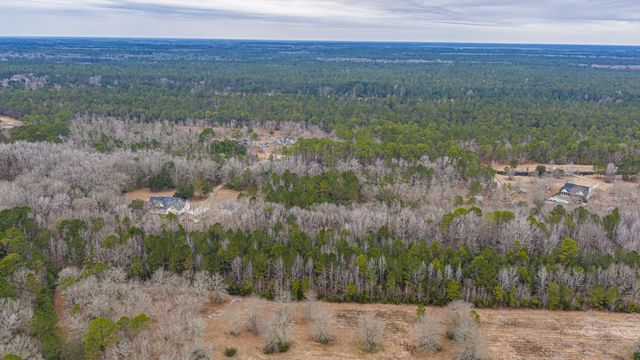 00 Elliott Estates Road, Hollywood, SC 29449