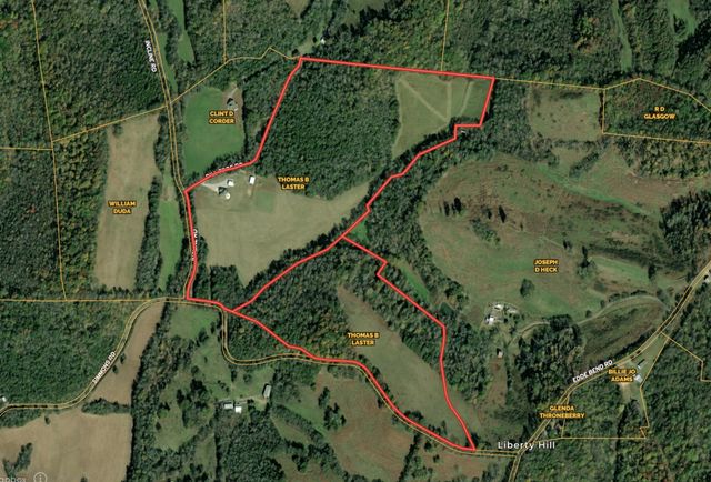 50 Bill Edde Rd, Belvidere, TN 37306