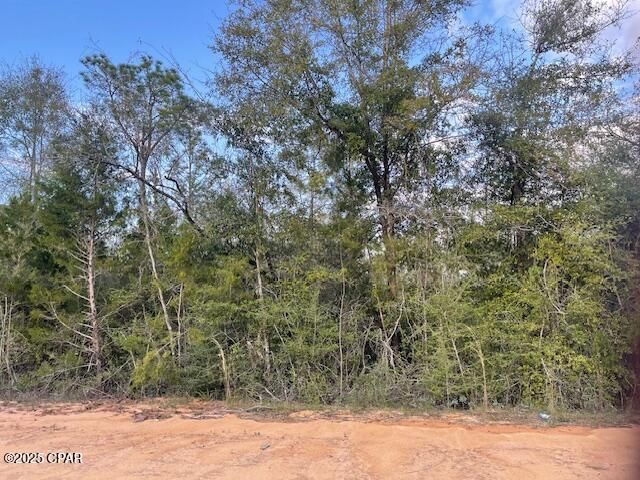 Lot 38 Dorcas Road, Marianna, FL 32448