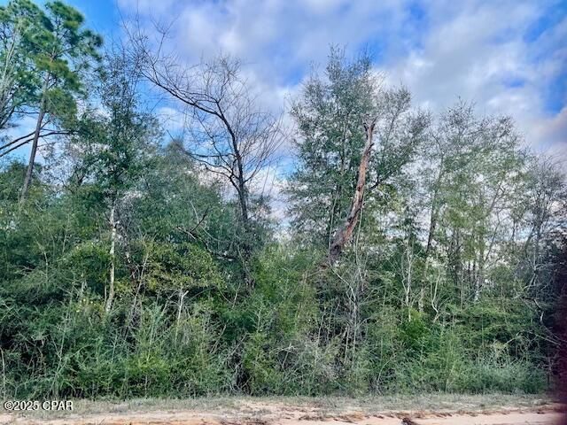 Lot 38 Dorcas Road, Marianna, FL 32448