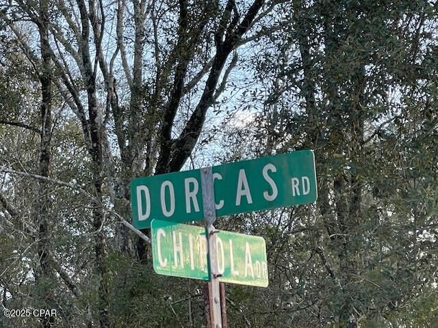 Lot 38 Dorcas Road, Marianna, FL 32448