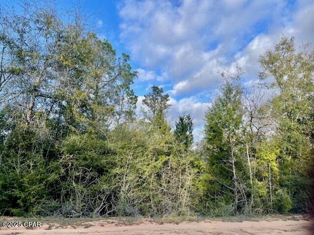 Lot 38 Dorcas Road, Marianna, FL 32448