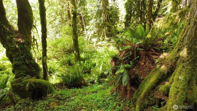 7611 Brown Road SW, Olympia, WA 98512
