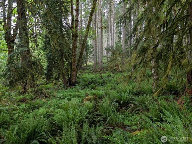 7611 Brown Road SW, Olympia, WA 98512
