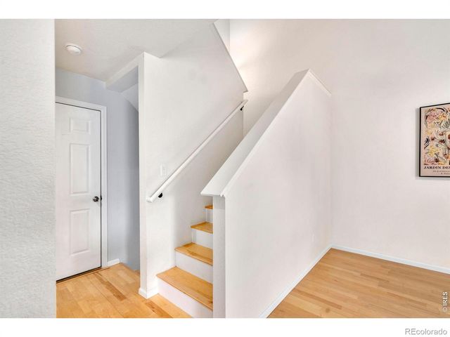 137 Bayside Circle, Windsor, CO 80550