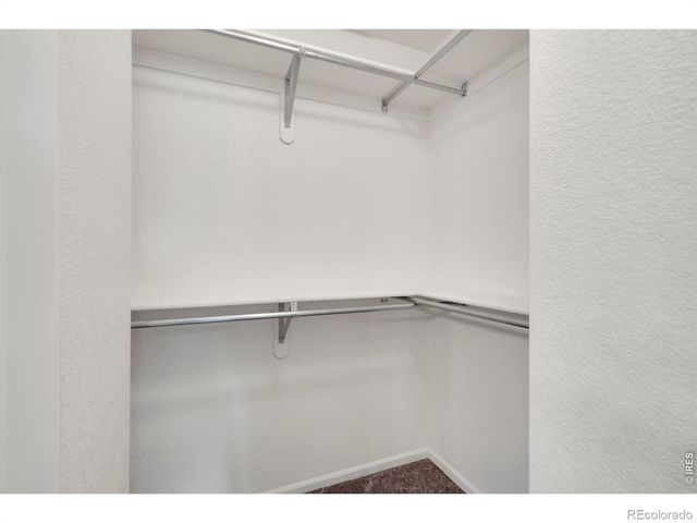 137 Bayside Circle, Windsor, CO 80550