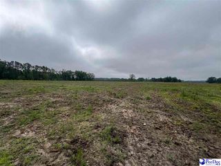 TBD Harry Byrd Hwy, Darlington, SC 29532
