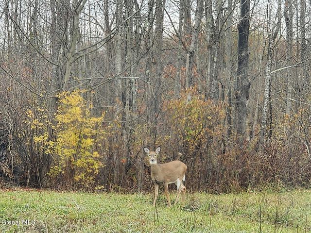 7715 US Hwy 20, Cherry Valley, NY 13320