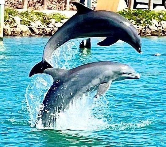 102 2ND AVENUE, Venice, FL 34285