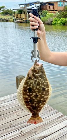 62 Oceania Street, Sargent, TX 77414