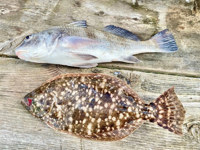 62 Oceania Street, Sargent, TX 77414