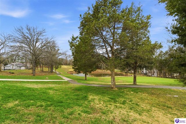 246 St Andrews Road, Brandenburg, KY 40108