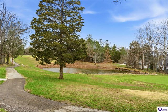 246 St Andrews Road, Brandenburg, KY 40108