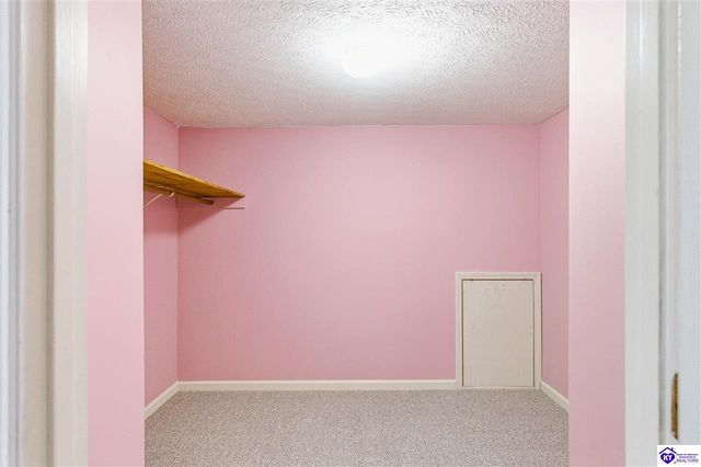 246 St Andrews Road, Brandenburg, KY 40108