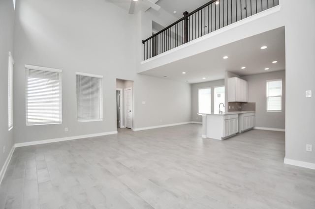 18554 Athena Flower Drive, Fresno, TX 77545