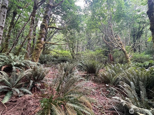 2 XX Scenic Drive, Poulsbo, WA 98370