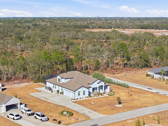 9667 PANTERA LOOP, Weeki Wachee, FL 34613