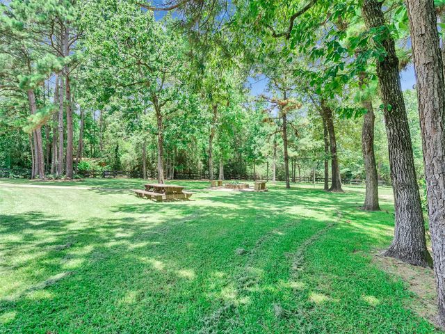10137 Crown Ranch Boulevard, Montgomery, TX 77316