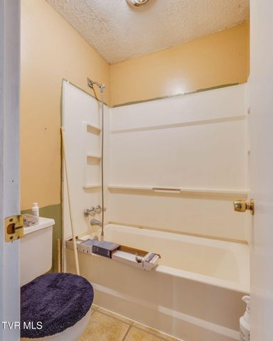 258 Alice Private Drive, Kingsport, TN 37663