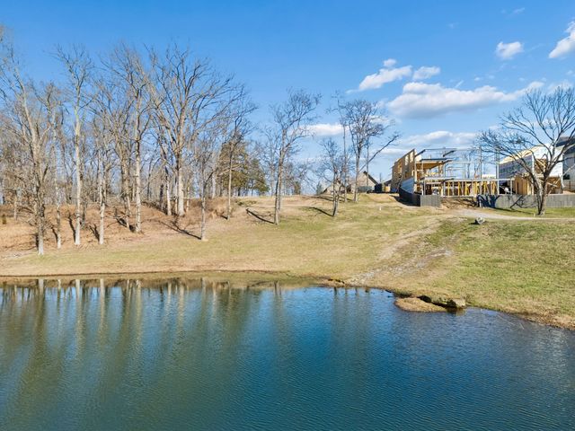 8217 Jolene Dr, College Grove, TN 37046