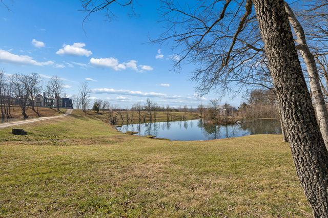 8217 Jolene Dr, College Grove, TN 37046