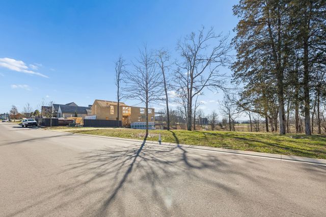 8217 Jolene Dr, College Grove, TN 37046