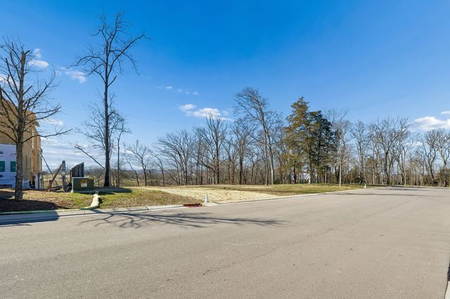 8217 Jolene Dr, College Grove, TN 37046